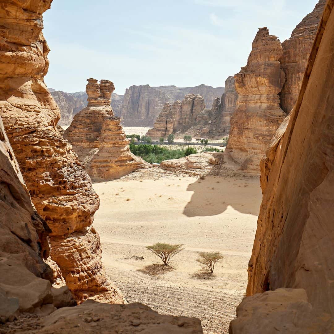 AIUla – Suudi Arabistan